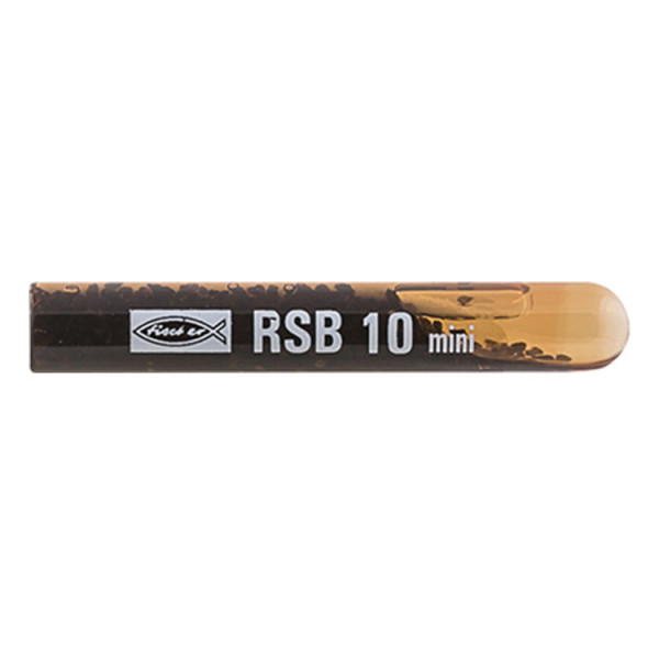 RSB 10 MINI Ancorante chimico in fiale (10 Pz.)